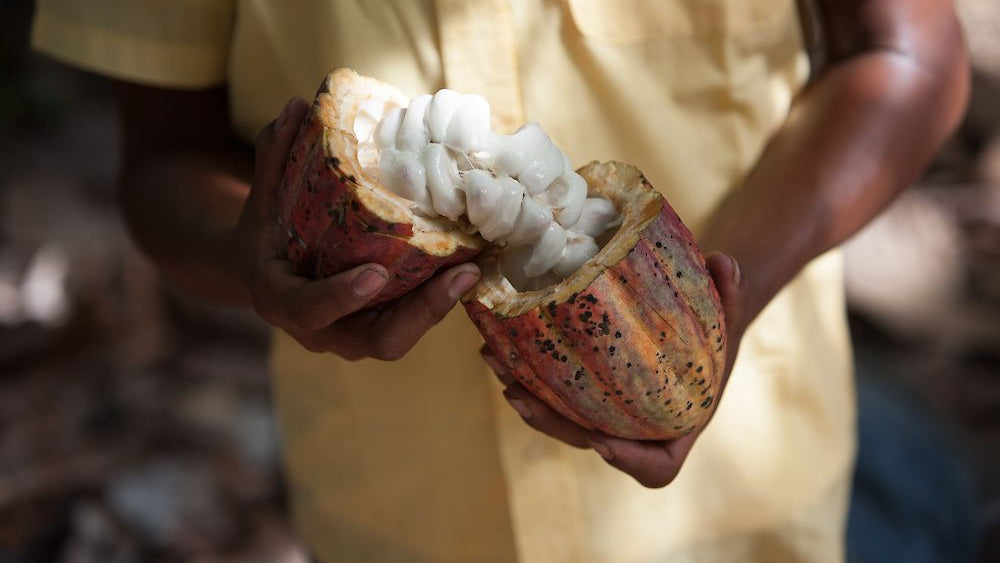 5 Bölgeden Single-Origin Bitter Çikolata Seti, Bitter Çikolata